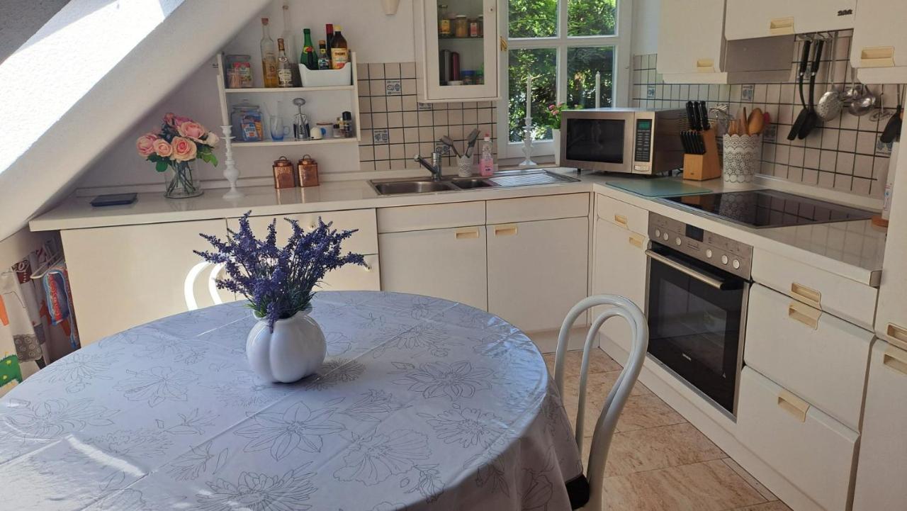 Ferienwohnung In Bad Wilhelmshoehe Weltkulturerbe カッセル エクステリア 写真
